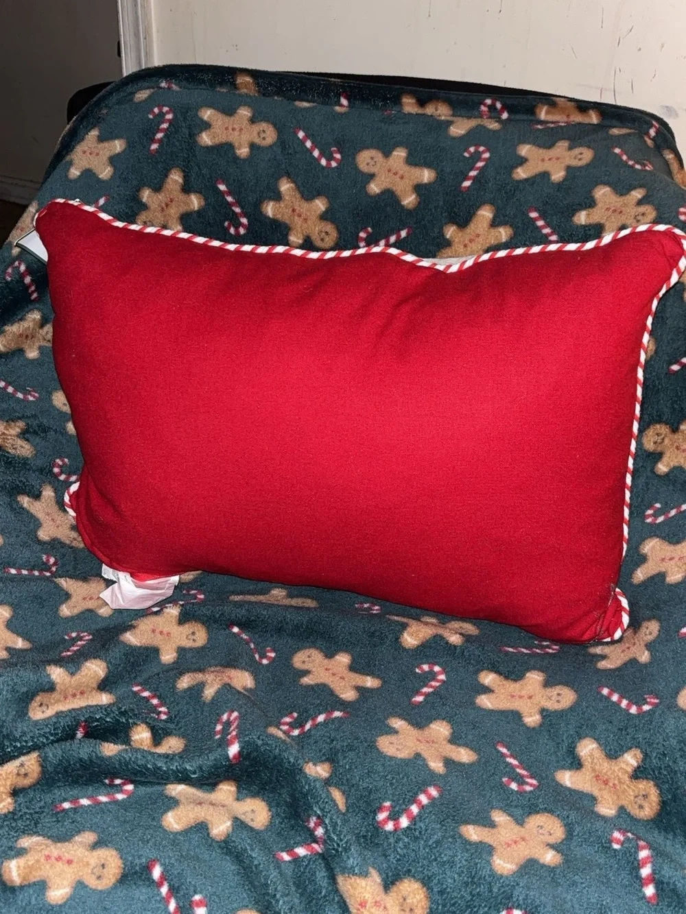 North Pole Mail Holiday Throw Pillow - “LARGE”
